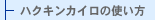 �n�N�L���J�C���̎g����