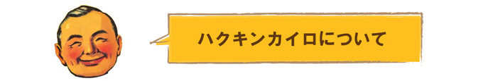 ハクキンカイロについて