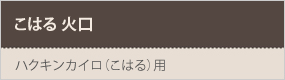 こはる 火口